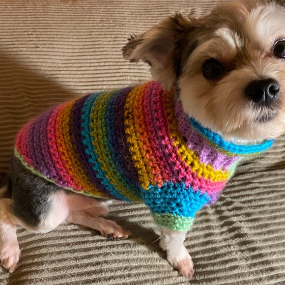 Small Dog Sweater, Toy Dog Clothes, Unique, Hand Knit One of a Kind, Colorful - Picture 4 of 16